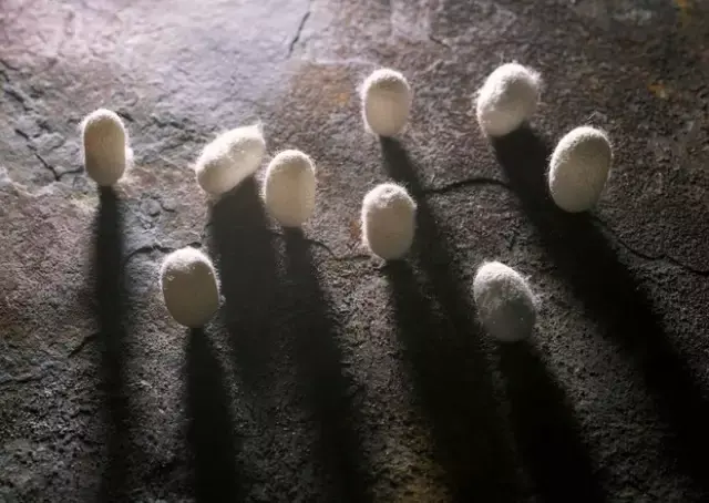 棉被怎么做成 v2-cf5fcc167bb210e76d491d3842dcb085_r.jpg