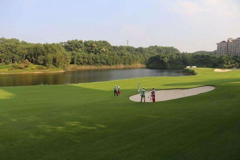 看,高尔夫球场中,10年前帮爸爸捡球的小男孩棠樾业主散步时的随手拍一