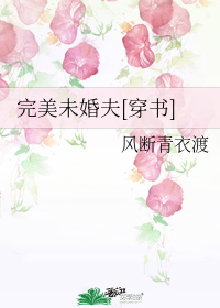 图标