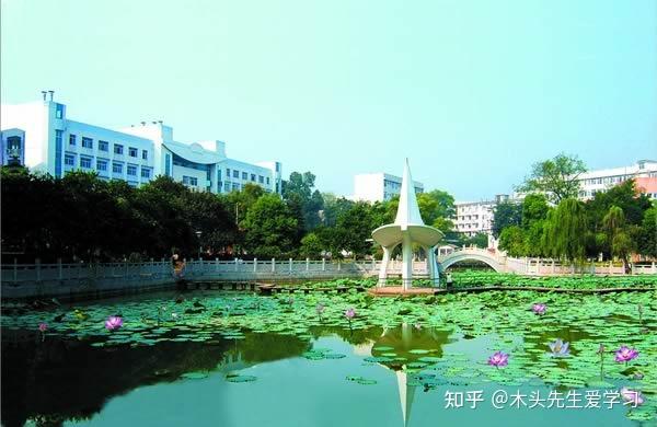 傻13
