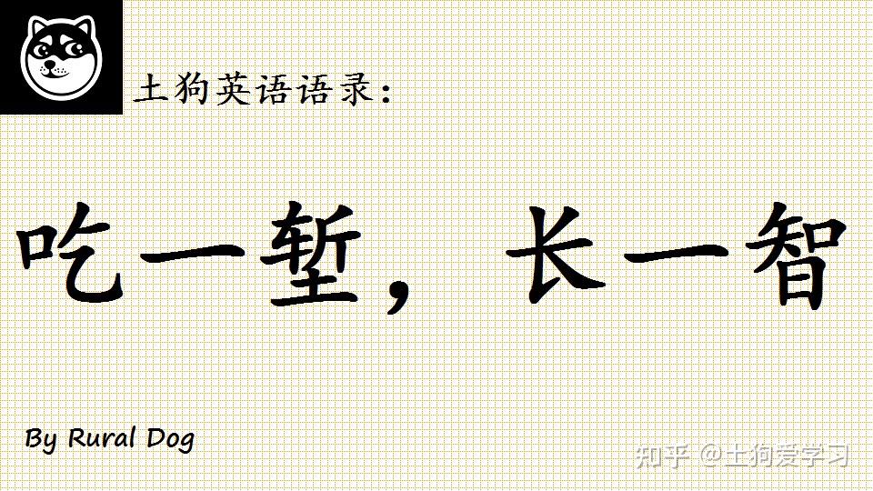 土狗英语语录英文版吃一堑长一智咋翻译来看大佬翻译