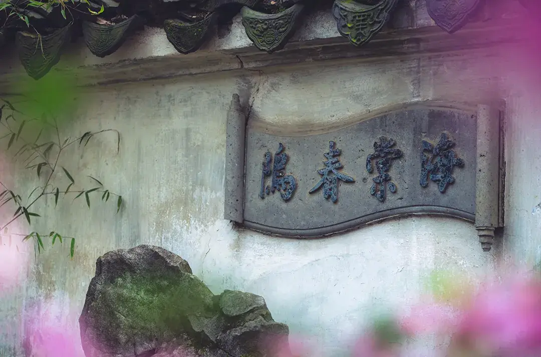 拙政园,海棠春坞@白墙下的花园拙政园,海棠春坞@苏州陈杰-potato