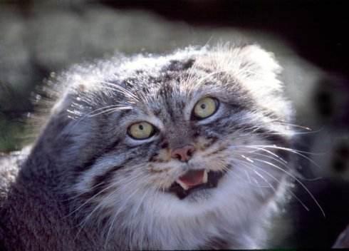 如何看待考研女多男少的现状?