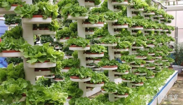 现代农业之立体种植那些事