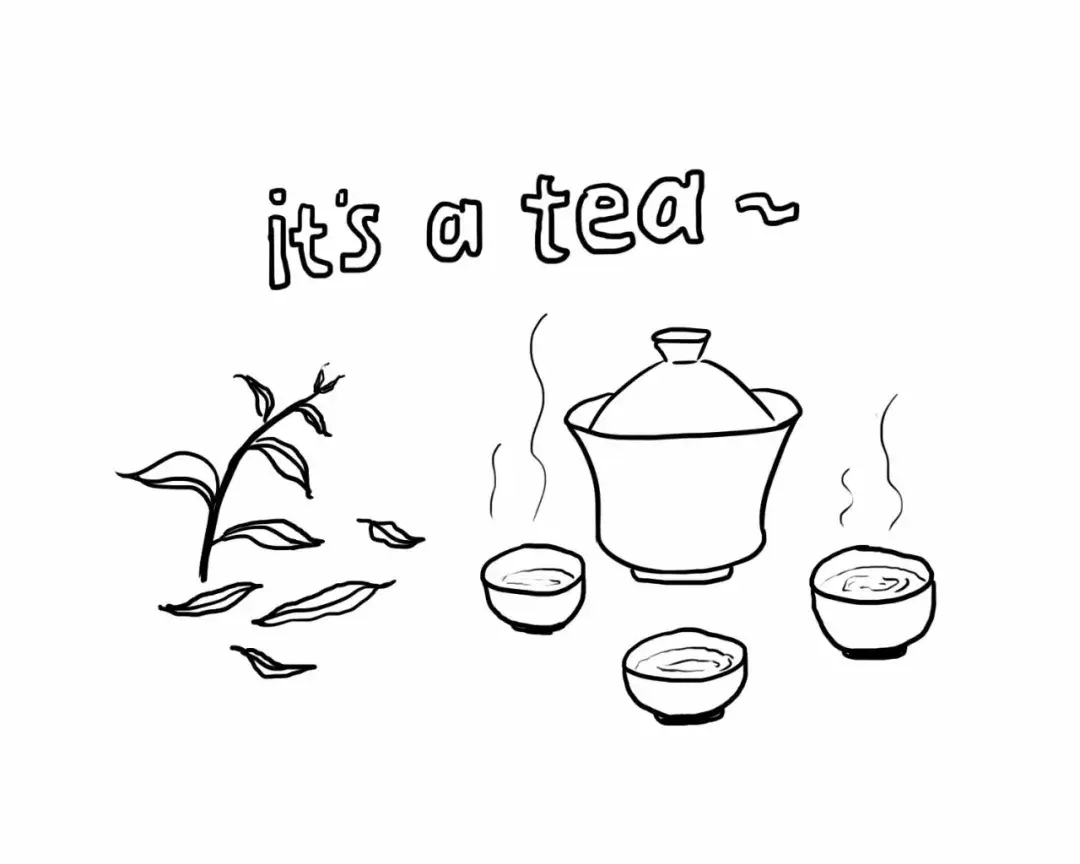 这茶便是凤凰单丛,属乌龙茶系
