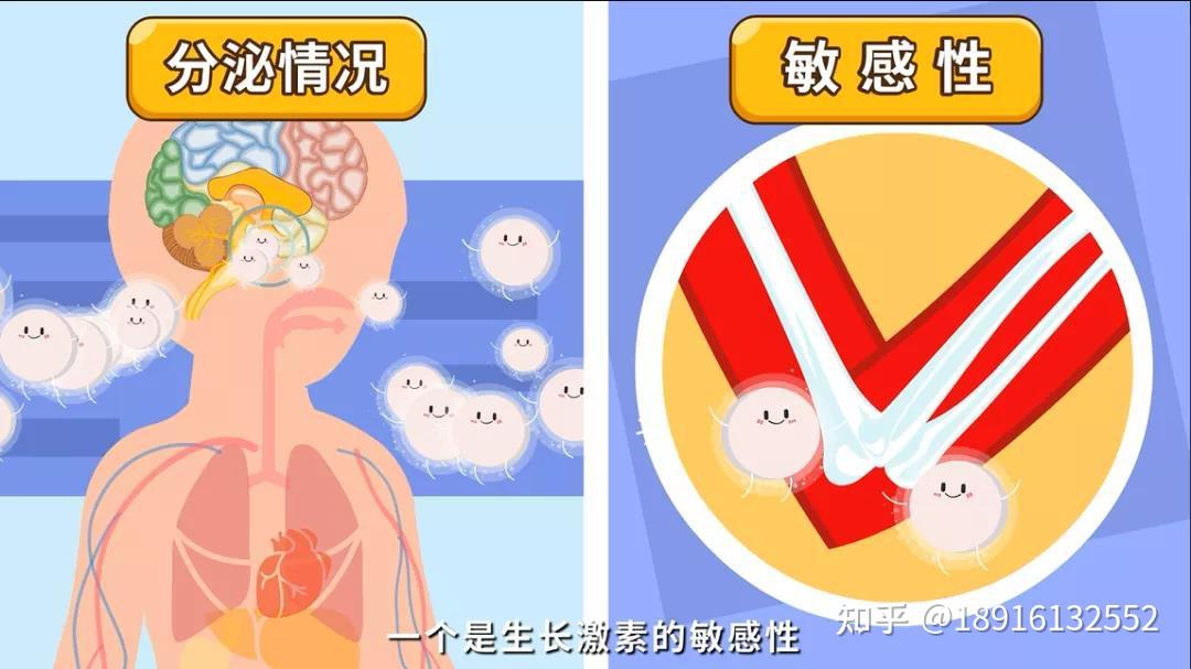 孩子不缺生长激素也可以使用生长激素长高吗