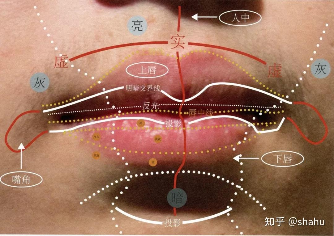 人中:位於上唇結節線的上部,是鼻子與嘴之間的凹槽,畫時注意它會隨嘴
