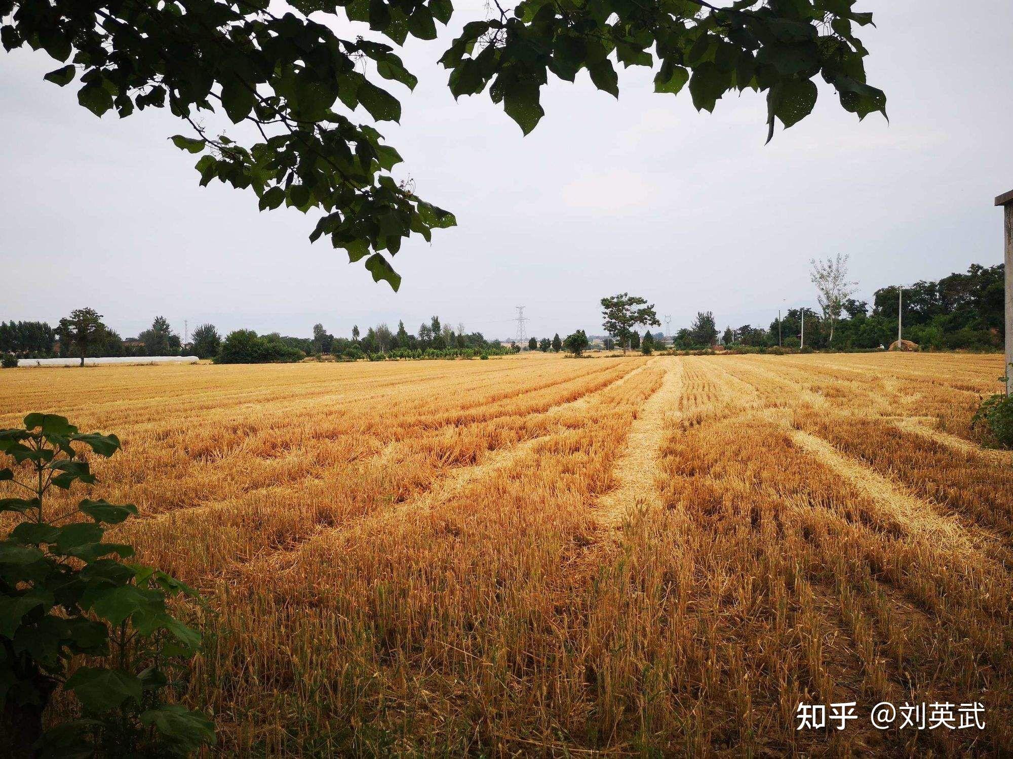界石与犁沟、乐怀居乡土记忆系列【卫旭峰】 - 知乎