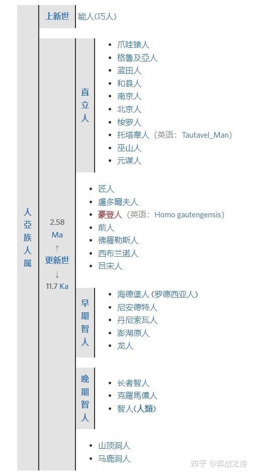 从南方古猿到晚期智人,人类是怎么进化而来的 - 知乎
