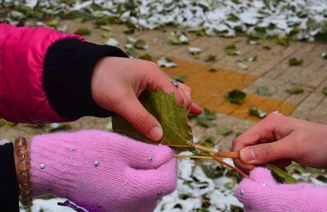 北方孩子小时候没有ps4每天一起拔根儿才是兄弟