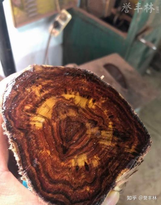 海南黄花梨现存老料到底还剩多少? - 知乎