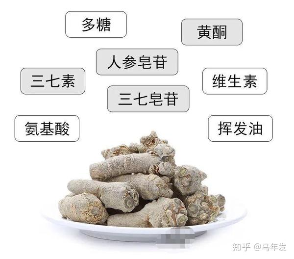一篇文章让你全面了解三七