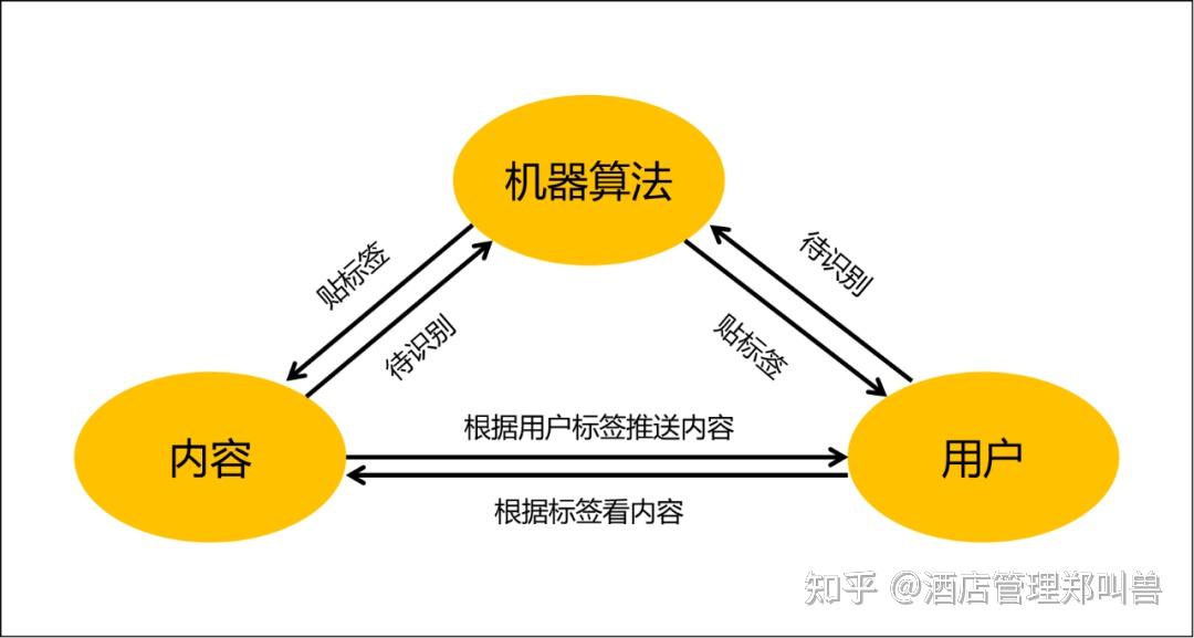 抖音电商算法深度解析讲透权重流量分配原理