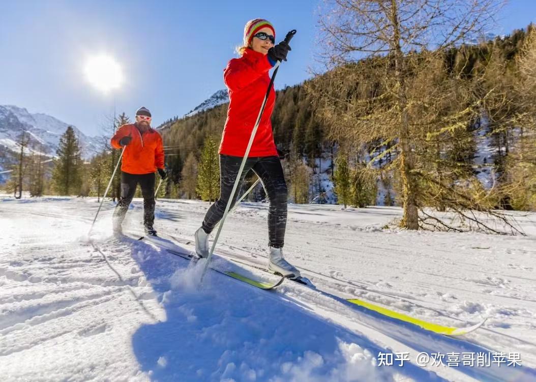 2024滑雪攻略655滑雪基礎知識技術貼滑雪有哪些競技類型完全指南29