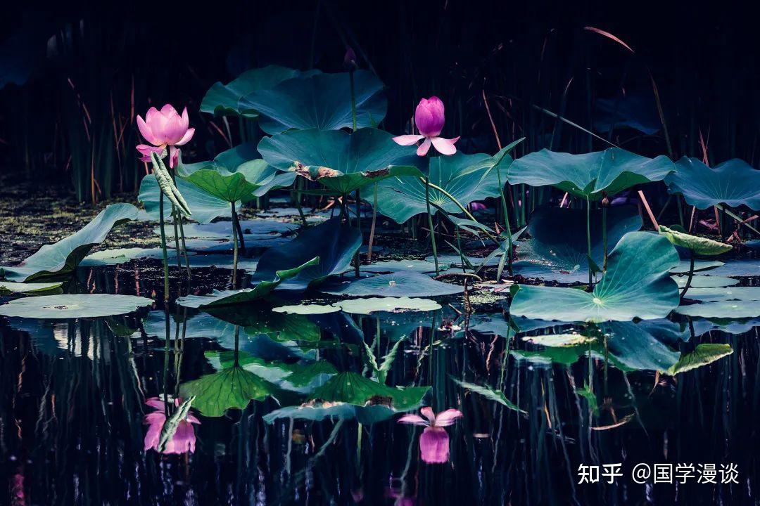 最美的夏夜诗词，带你体验夏夜的浪漫 - 知乎