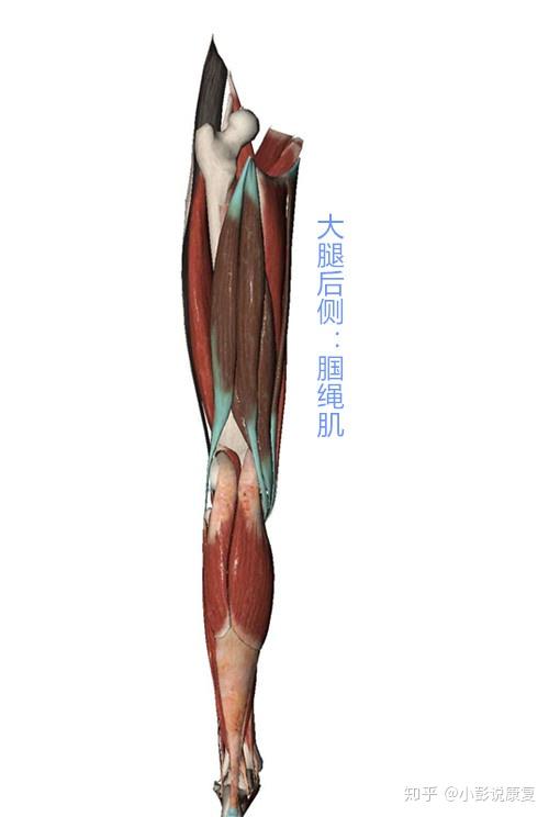 膝盖疼有膝关节炎保守疗法中有没有更好选择看看研究怎么说