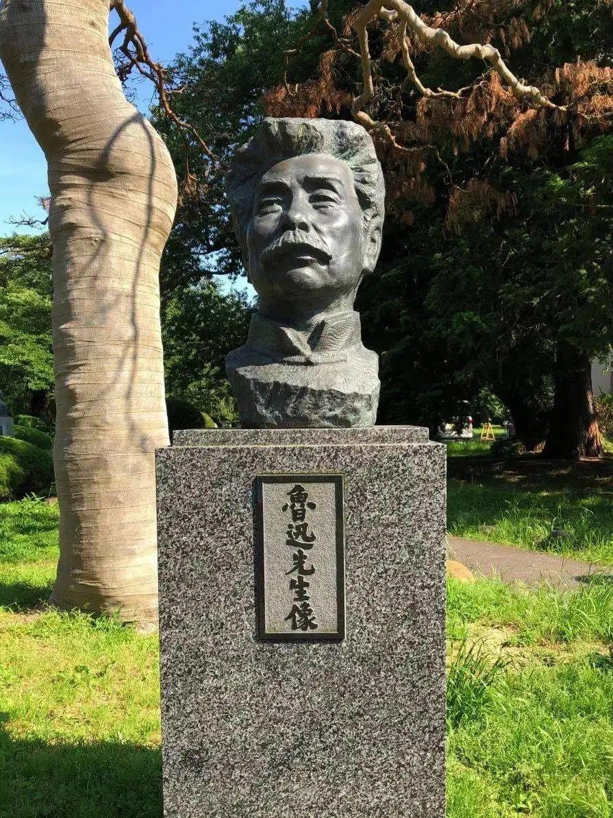 日本七所帝国大学系列篇—东北大学