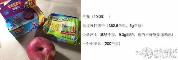 减肥食谱健康营养_减肥食谱健康减肥_健康减肥食谱