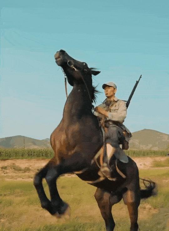 儿是古时候最重要的交通工具,所以导演们拍摄古装剧的时候都离不开马