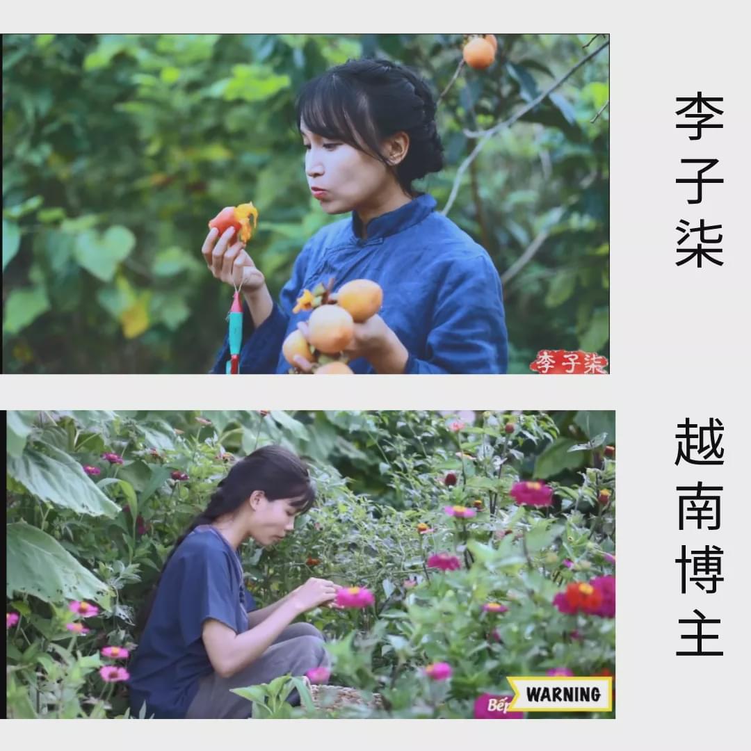 盗版李子柒靠抄袭走红,网友:她的美你抄不来!