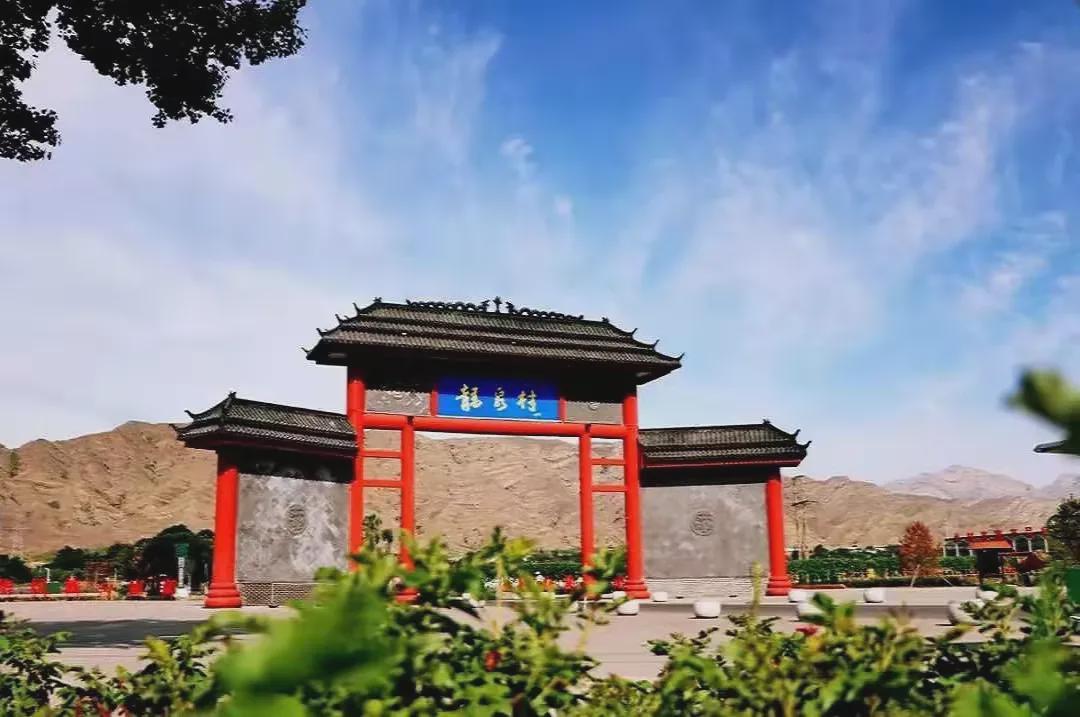 大武口区着力发展乡村产业激活乡村振兴内生动力