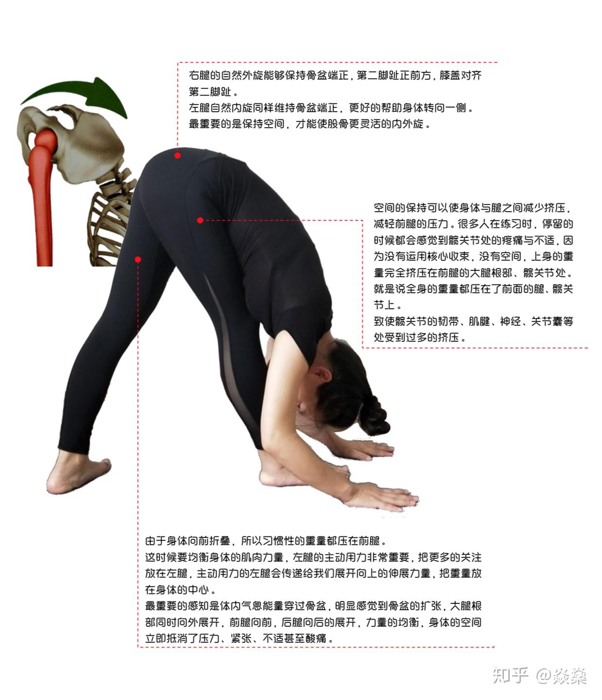 治拱背、塑美臀，全靠它！ - 知乎