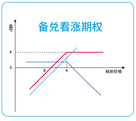 備兌看漲期權組合