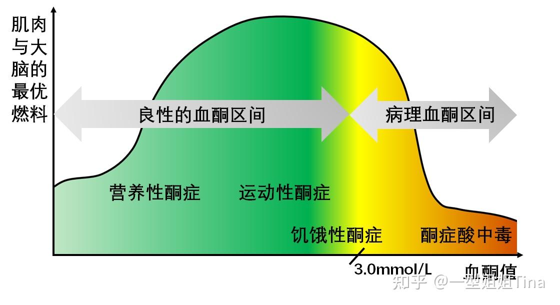 谈谈糖尿病中的“酮” - 知乎