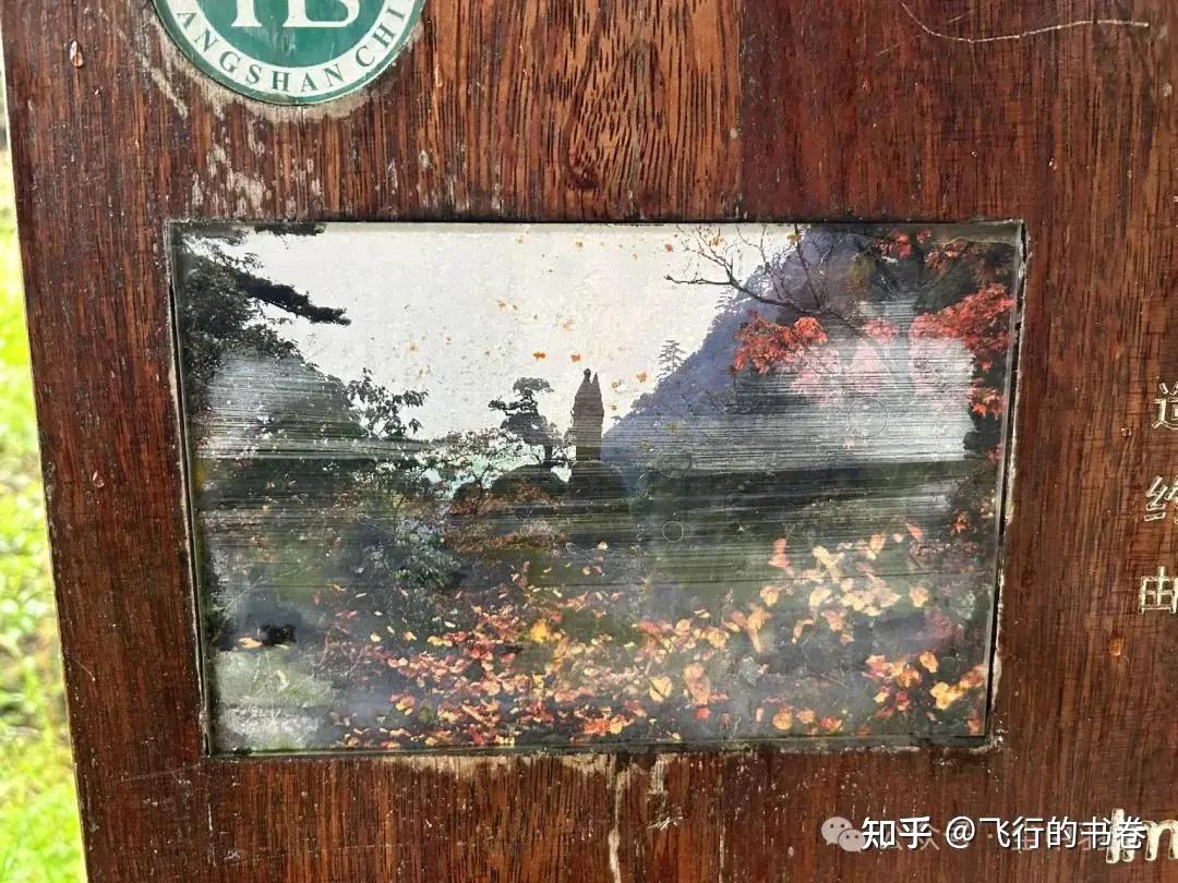 黄山雨中独行记(一):从云谷寺徒步到白鹅岭,一路有啥美景? - 知乎