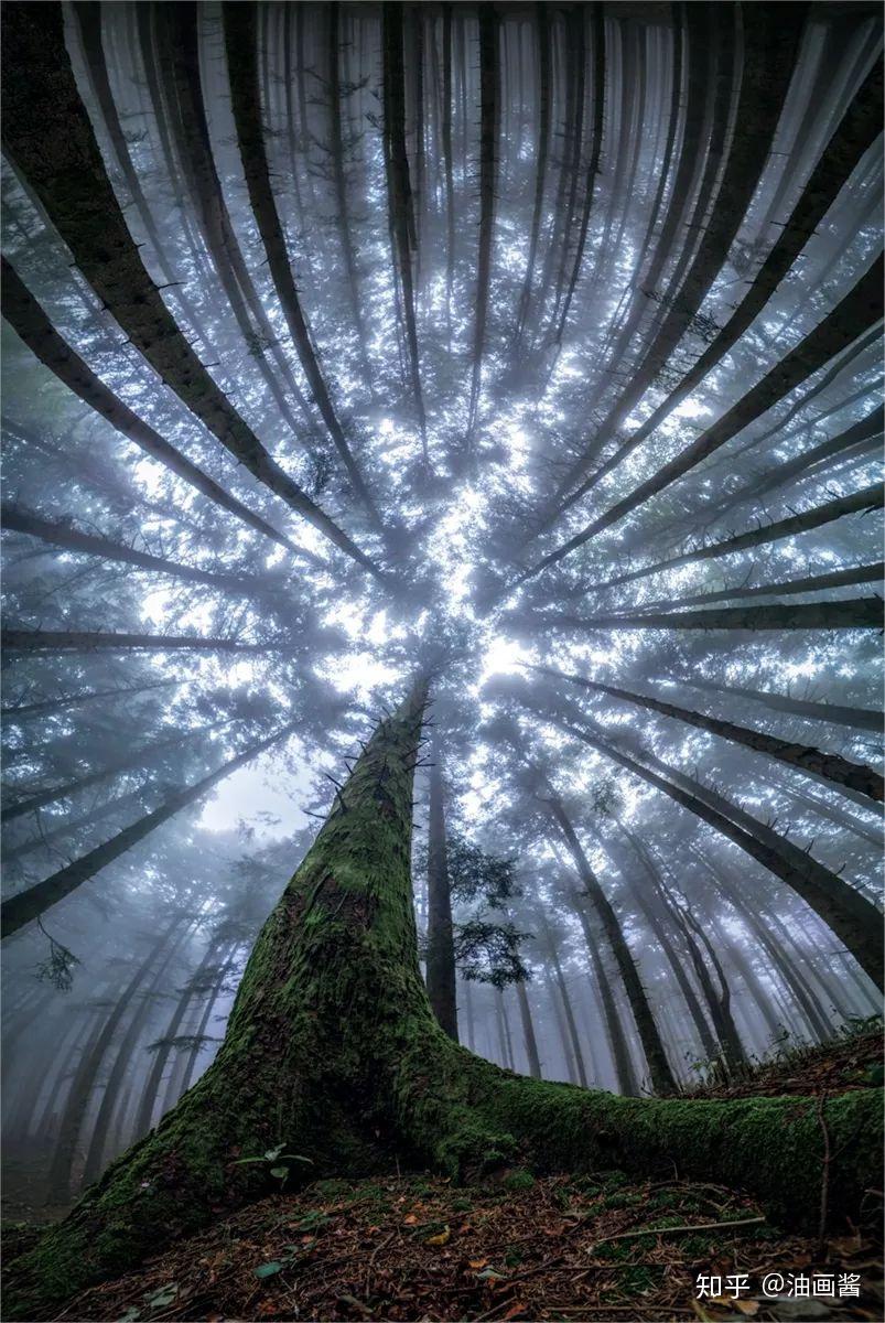 摄影师带你从另一个角度看世界你会发现别样的神奇美景