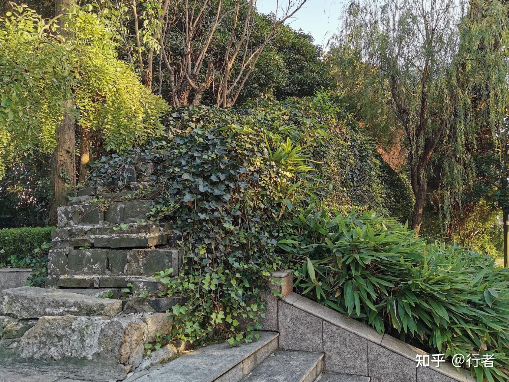 上海军事文化遗产(6)——嘉定古城墙遗址 - 知乎