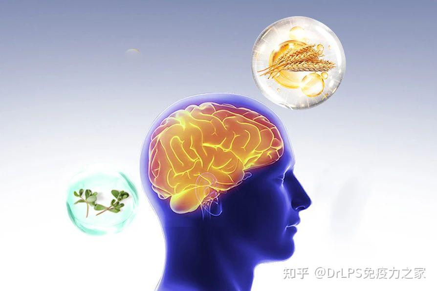 大脑功能受什么影响?预防认知障碍有4大要点 - 知乎