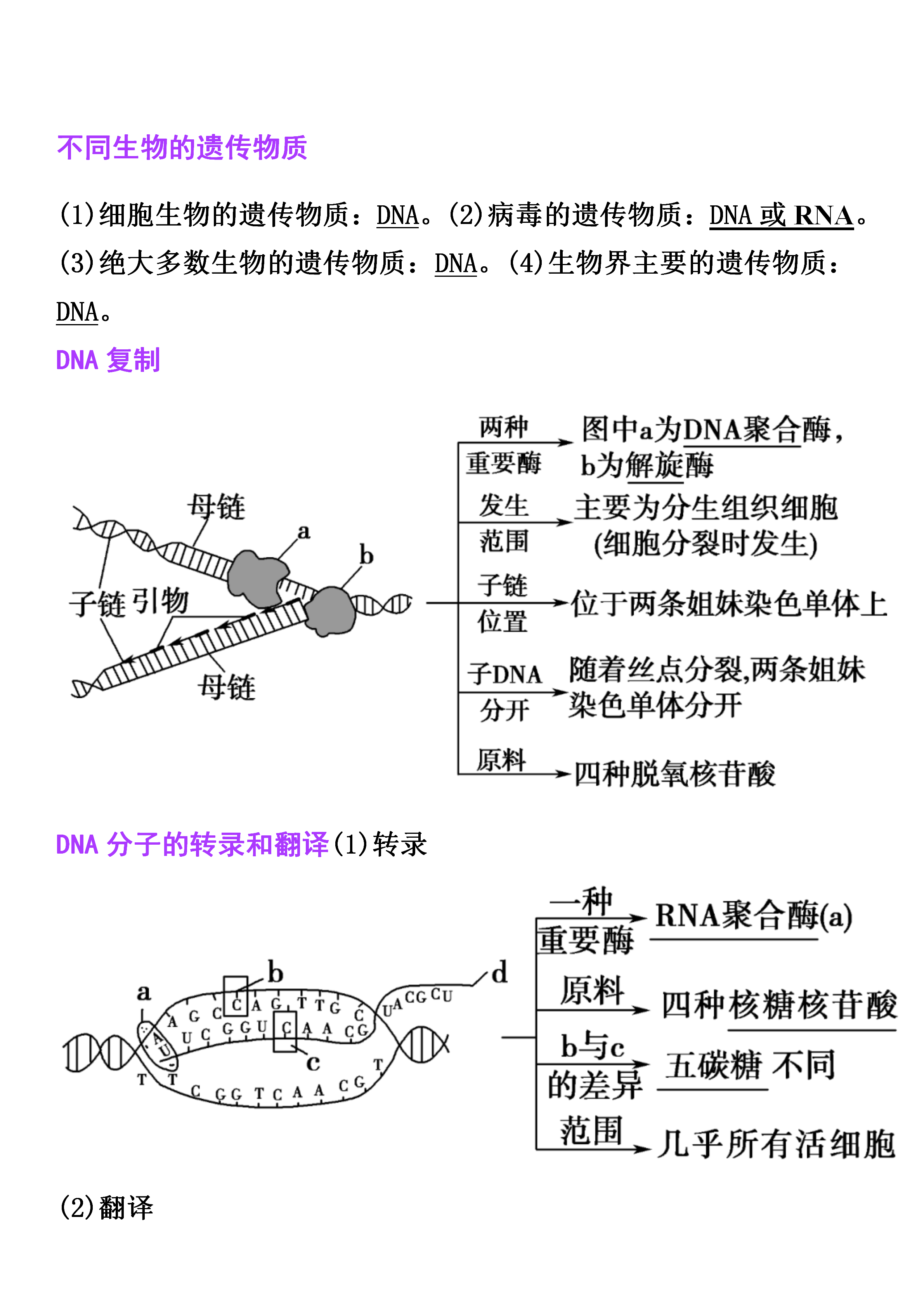 高中生物遗传图解六种图片