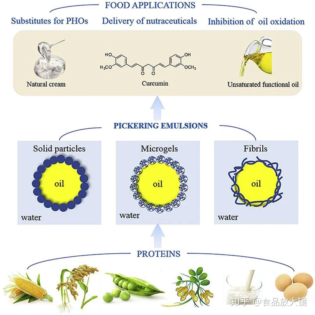 trendsfoodscitech蛋白稳定pickering乳液稳定性性质及在食品中的应用