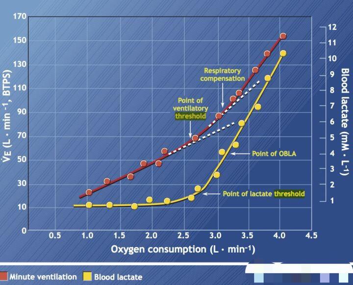 达到最大摄氧量的60%左右,黄色曲线达到了拐点,这个点也指的是乳酸阈