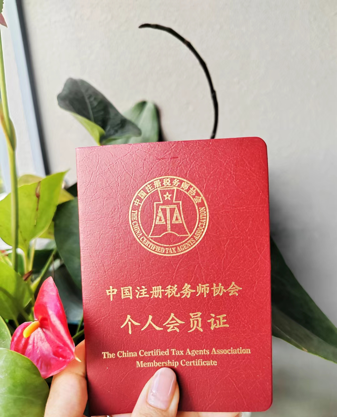 税务师考试对于五门考试科目的介绍,难易程度,报考组合等等?