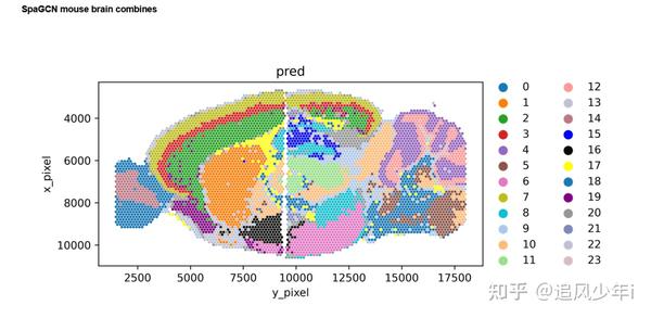 10x空间转录组聚类分析回顾之spagcn结合基因表达信息、空间位置和形态学 知乎