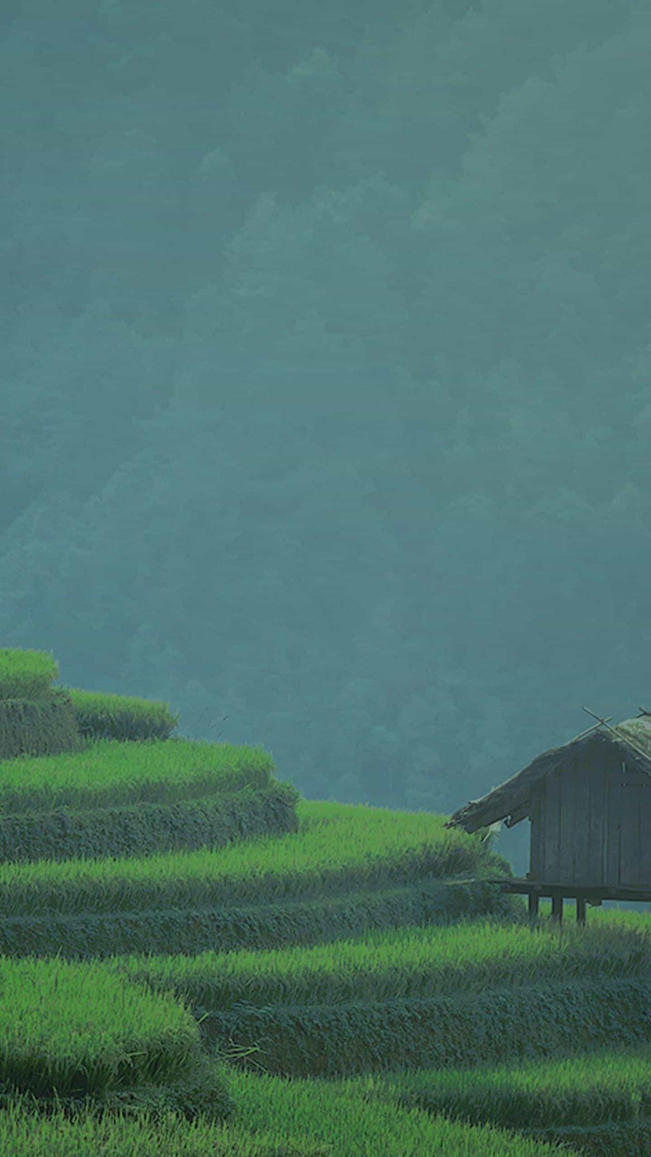 清新脱俗的壁纸
