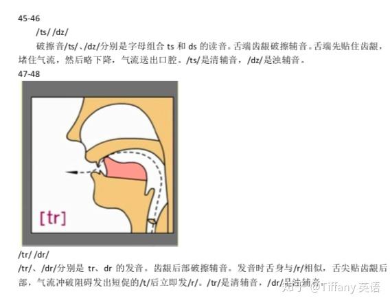 48个国际音标发音舌位图 - 知乎
