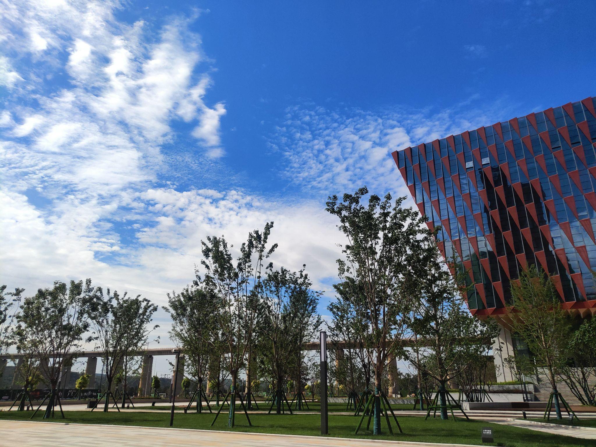 请问有没有知道郑州城建职业学院的朋友们