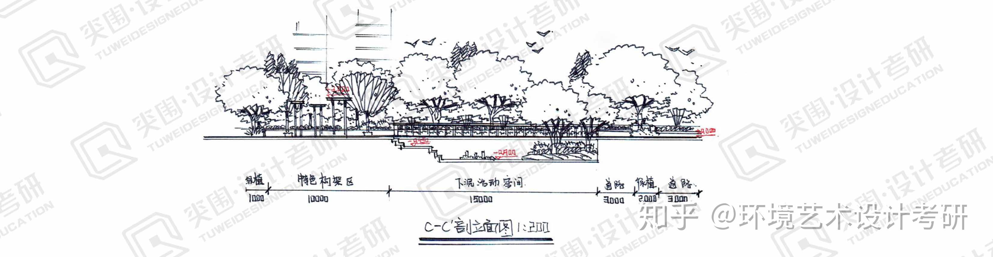 高分快题景观剖立面图的几条准则你会吗