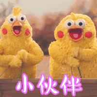动图封面