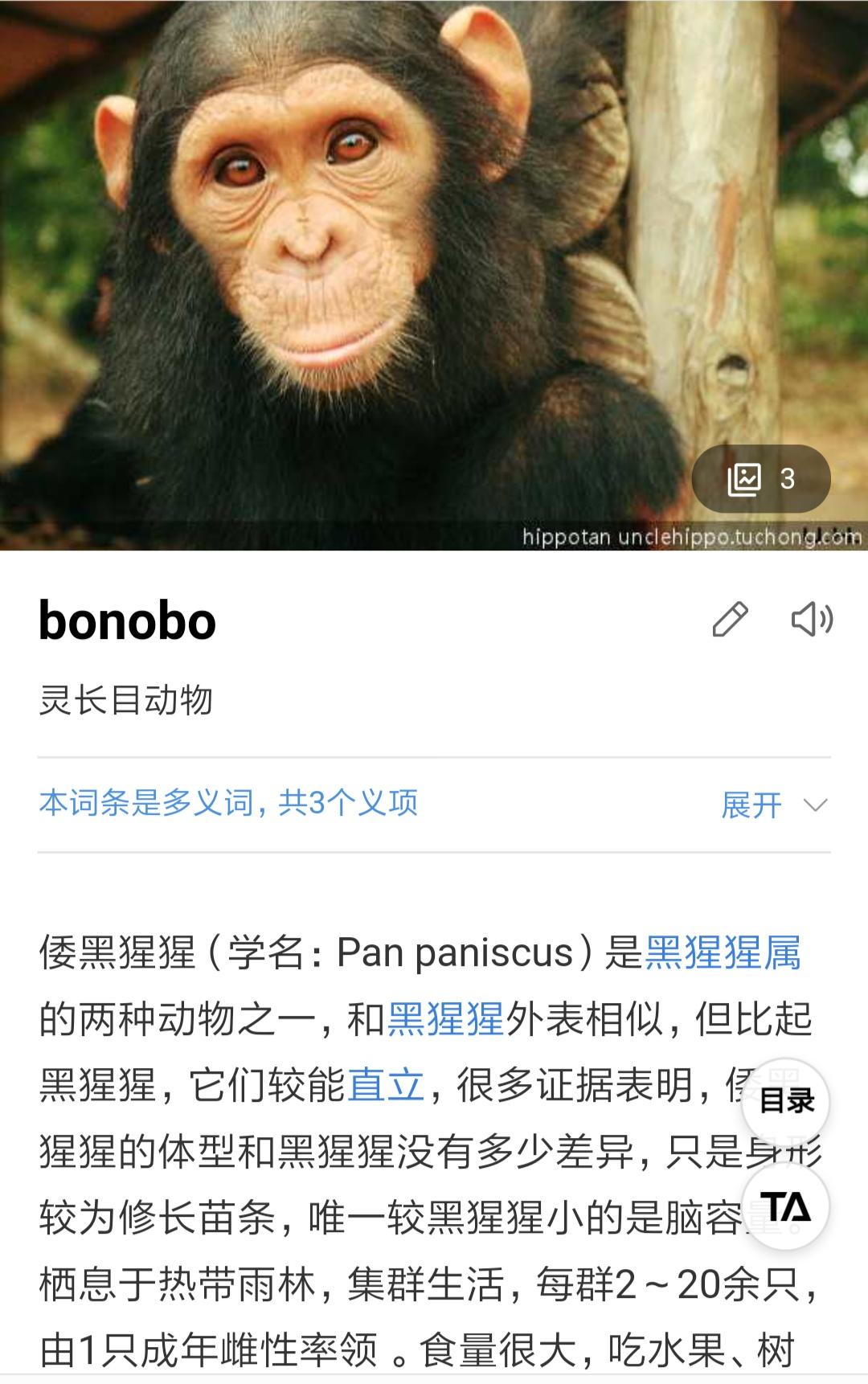 什么是基因战争 v2-d10a9d5d2d670f7370e66deda9733ebd_r.jpg