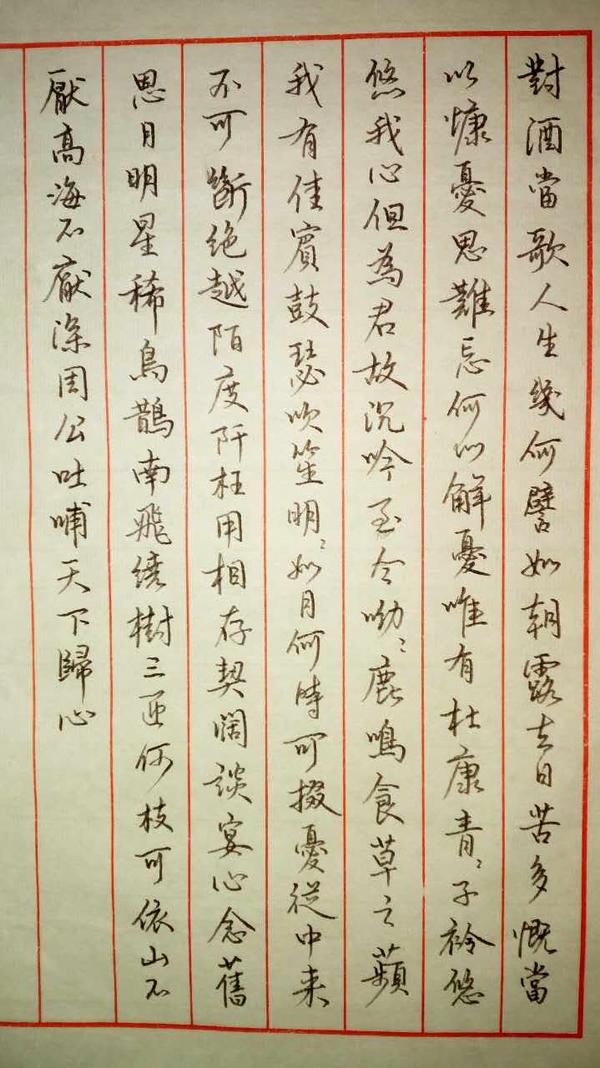 曹操短歌行钢笔字笔友习作欣赏