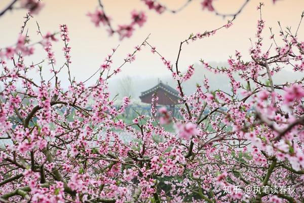 《桃花庵歌》——明·唐伯虎桃花塢裡桃花庵,桃花庵裡桃花仙.