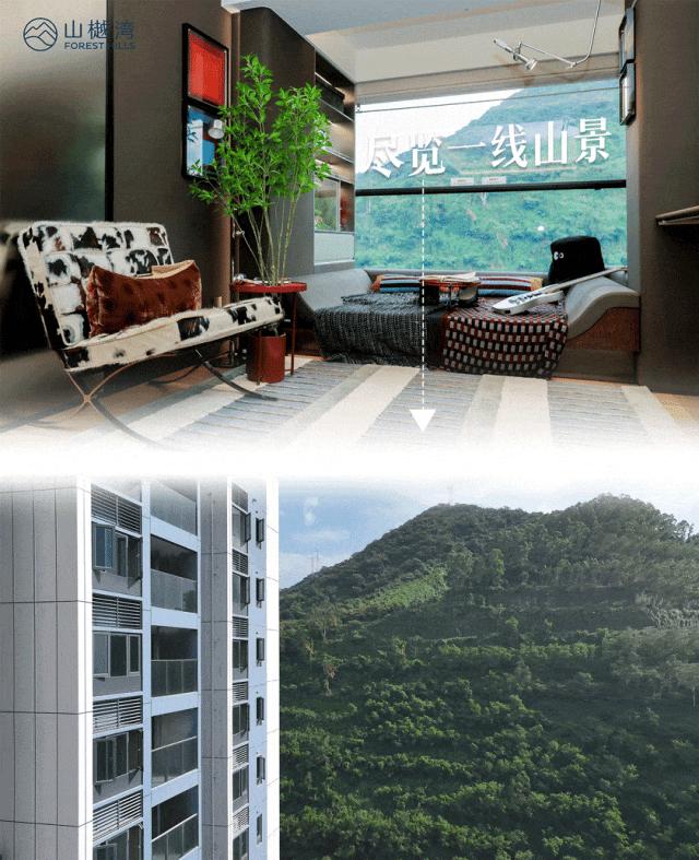 总价255万起住南山！这个“宝藏房”，颠覆深圳买房想象 - 知乎