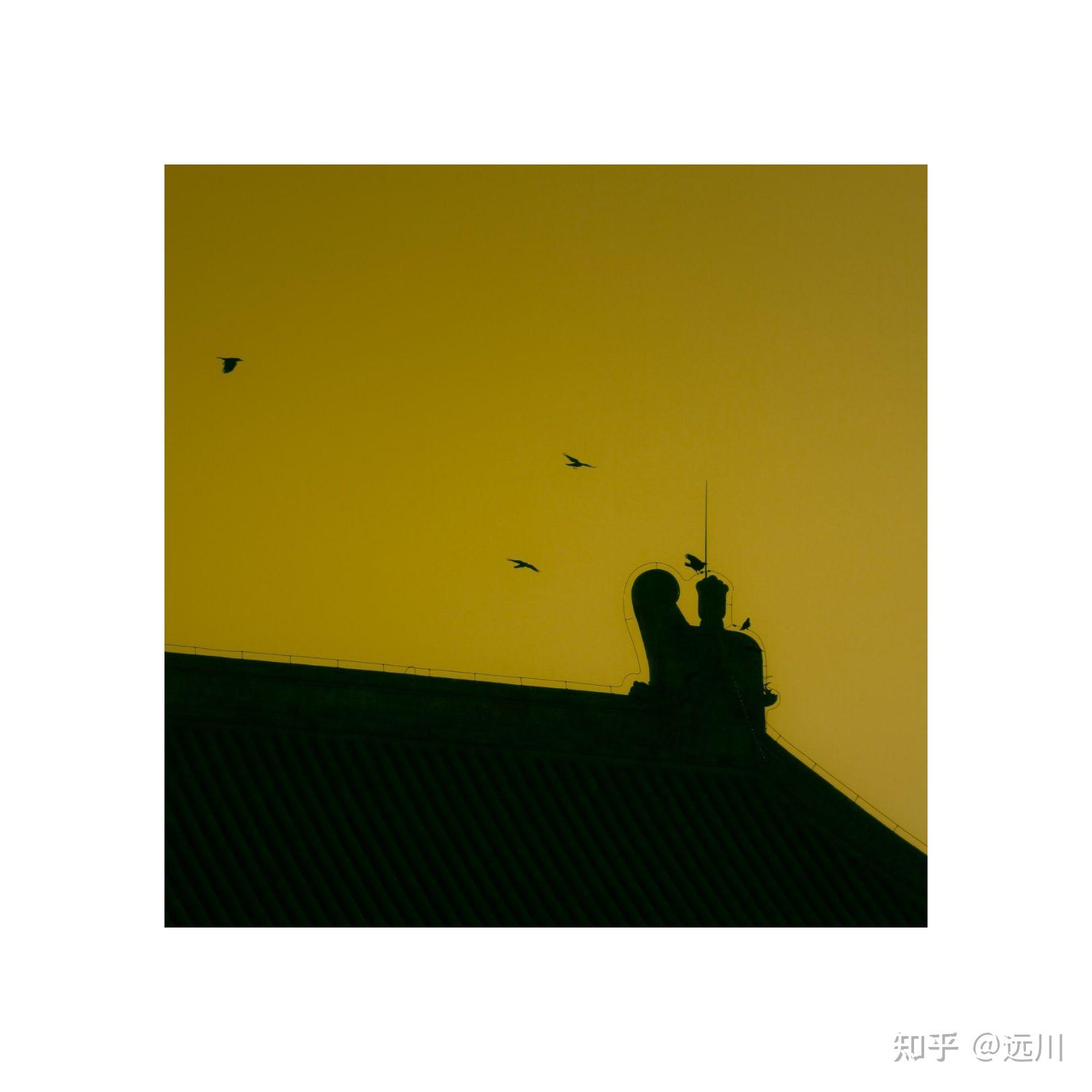 v2-d12a6127614357dd0d22b985a346693d_r.jpg