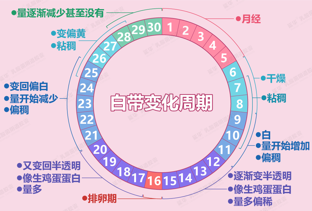 别动不动就说白带异常，白带的周期变化你一定要了解！ 知乎 