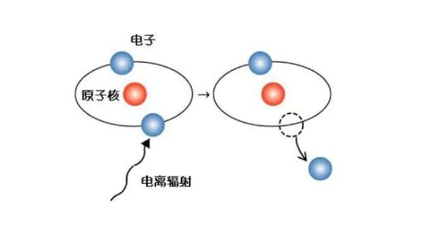 自由基的由来 v2-d1460138c4077754e7db26f217b47dcd_r.jpg
