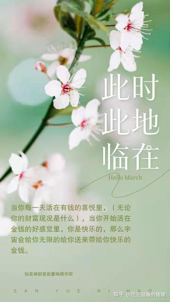 意念显化- 知乎